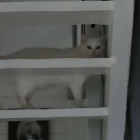 Σπίτι διακοπών Les Nenuphars