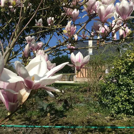Tatil Evi Les Nenuphars