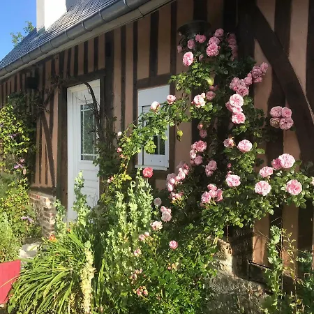 Les Nenuphars Tatil Evi *